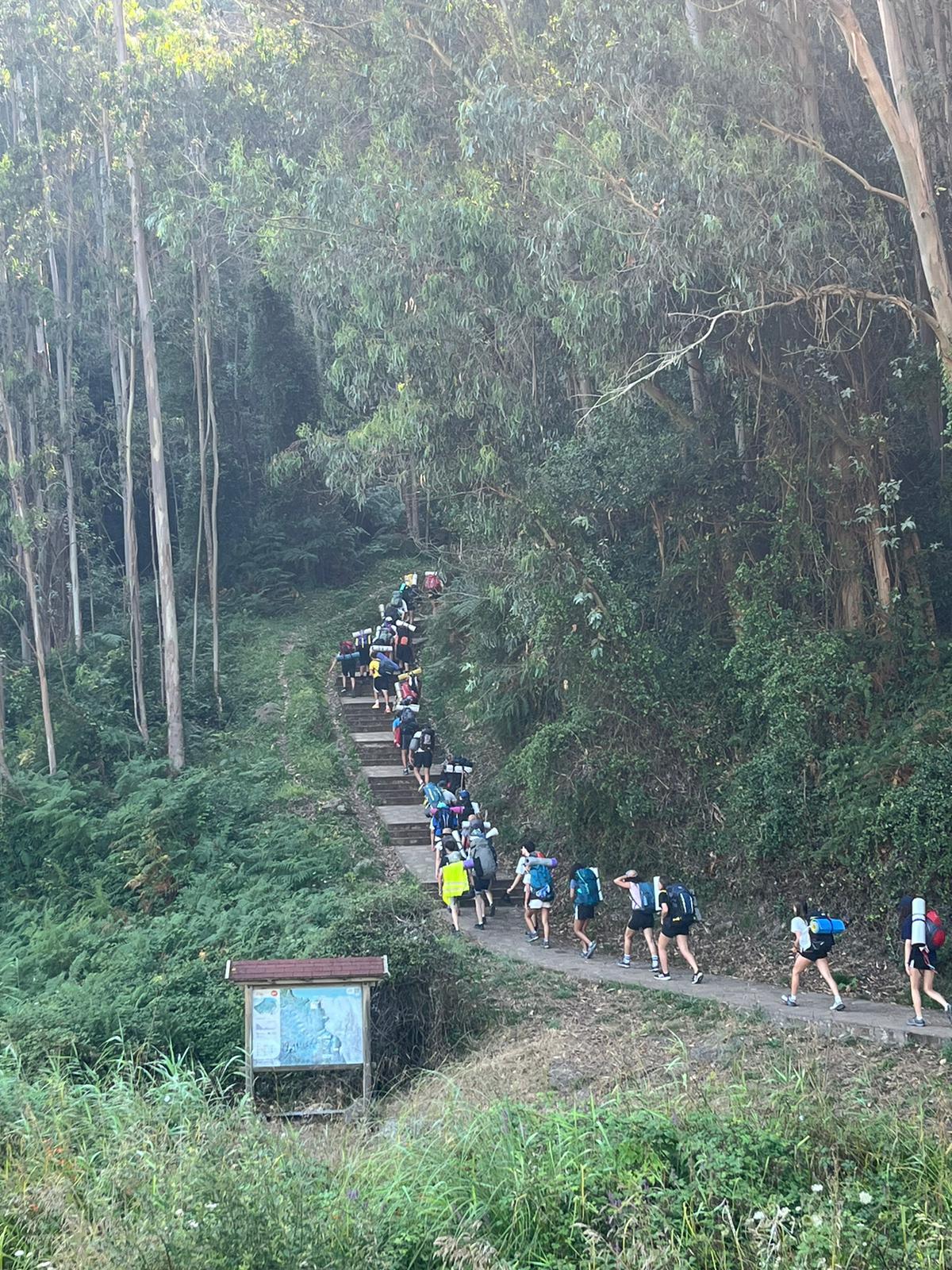 Campistas de Nhorte suben una escalera en una excursión del campamento de verano